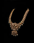 ANTIQUE PEACOCK HAAR
